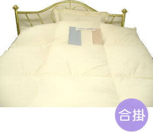 nCubh|[h}U[O[XHэ|ӂƂ@_uTCY