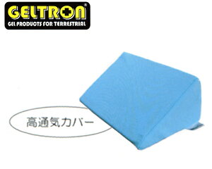 GELTRON WFg̈ʕϊNbV ^ʋCJo[AW^Cv