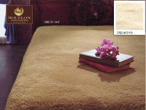 [Gfz[v] ё35mm}tV[c ^VO