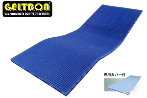 GELTRON WFg gbv}bgX P-3