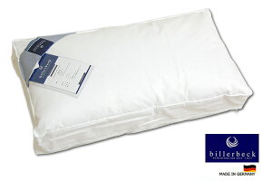 billerbeckrxbN _EebNXu_EibNXvDAUNALEX