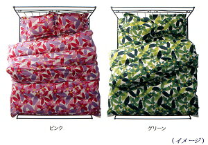 Vr Maranta }^@sP[X^M