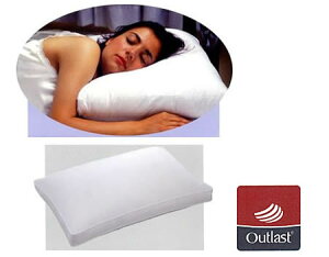 DOWN PILLOW AEgXgETChX[p[ ^L(50×70)