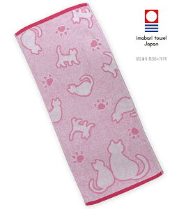 ^I tFCX^I AAj}Ct ˂sN