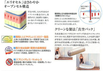 マニフレックスマットレス「マニスポーツ」】クィーン