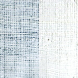 zxC A[`XgG^Vo[zCg (H511) 20110ml