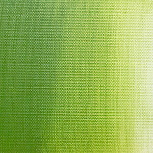 NTJx G^e[xg (078) 620ml