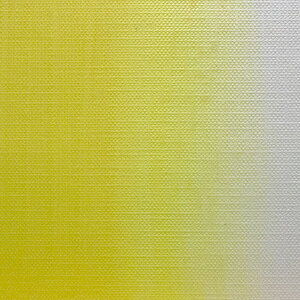 NTJx G^CG[fB[v (129) 620ml