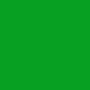 X[p[O[fB[v (1317) 620ml }c_ X[p[G y13{z