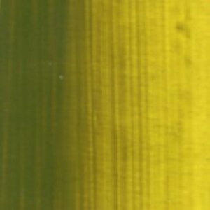 �O���j�b�V�� �C�G���[ (AU842) 330ml �z���x�C�� �A�N�����b�N �w�r�[�{�f�B