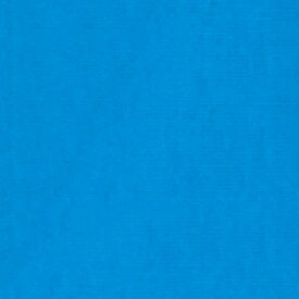 蛍光ブルー（6096） 20ml チューブ リキテックス・ソフト