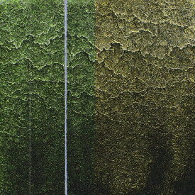 インタフェレンス グリーン/オレンジ シフト (626) 11ml ゴールデンQoR(コア)