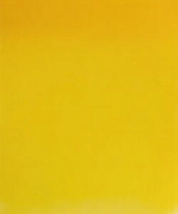 Jh~ECG[y[(118) 25ml W&NʊG