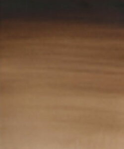 �o���_�C�N�u���E��(676) 2��5ml W&N���ʊG��