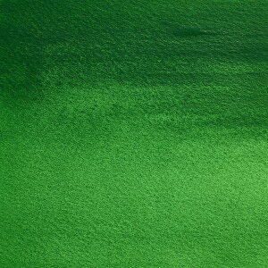 Vio[O[ (420) 25ml W&NʊG