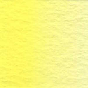 CG[ (W233) 515ml zxCʊG