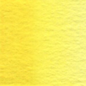I[I (W039) 25ml zxCʊG