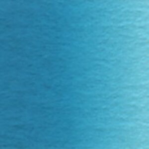�^�[�R�C�Y�u���[ (W099) 2��5ml �z���x�C�����ʊG��