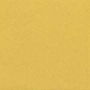 lCvXCG[ 515ml zxCsʊG