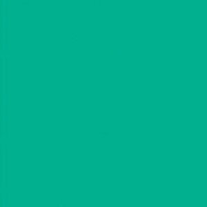 ΁iтႭ낭j 515ml zxCsʊG {F 