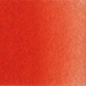 Jh~E bh CgiPN504jzxC A[`XgpJ[