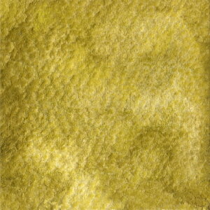 /܂񂰂 (WG512) 25ml zxCʊG Oj[eBOJ[Y