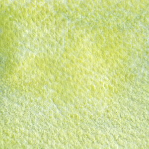 �~���U (WG522) 2��5ml �z���x�C�����ʊG�� �O���j�����[�e�B���O�J���[�Y