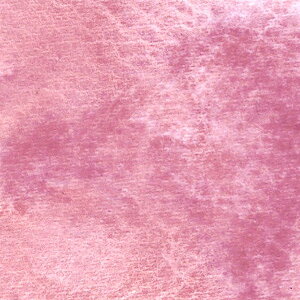 VtHsN(21) 410ml NTJxEnjAʊG