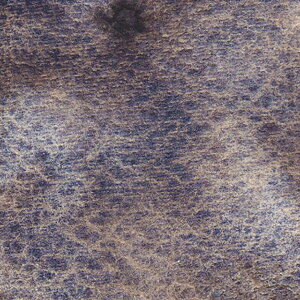 t@g~Xg(23) 410ml NTJxEnjAʊG