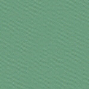 tΐ 11 20g r iJK VG NO.421