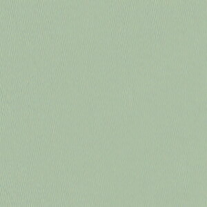 ɋ 9 20g r iJK VRG NO.747