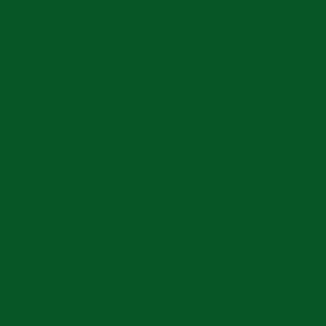 INO.11 15g r gˁEG