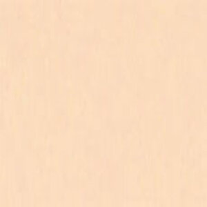 F(ڂ̂) No.201 gˁEp