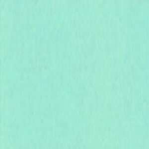 W(݂ǂ) No.205 gˁEp