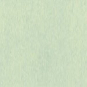 xl(肫イ˂) No.219 gˁEp