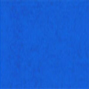 ڗF(肢) No.220 gˁEp