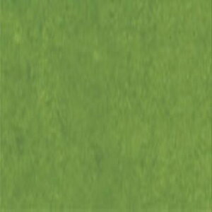 ՐF(Ƃ킢) No.221 gˁEp