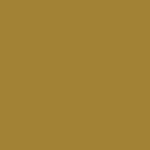  No.58 gˁES