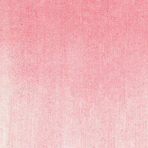 p[ bh (29535) 9ml ppXe