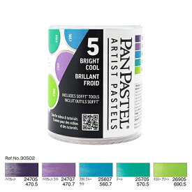 パンパステル 5色セット ブライトクール