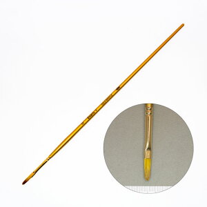 zxC Gp KINBUTA-F No.0