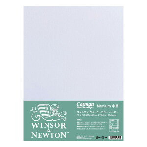 W&N Rbg}ʎV[g F8  30