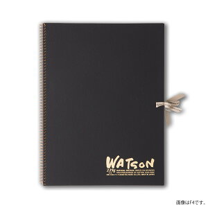 ���g�\���u�b�NNW-1504 239g�i�������E���ʎ��j F4 15��