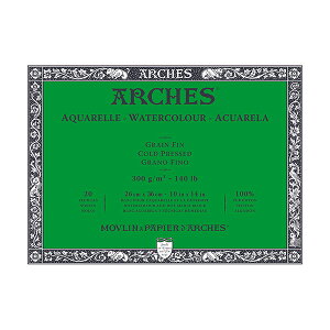 AVʎubN ז300g/ 26×36cm 20Ԃ