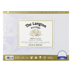 �����O�g�� �v���X�e�[�W �r�ځi�R�b�g��100���������j12�C���` 300g 12��