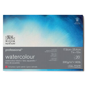 W&N vtFbViʎubN ז 300g 17.8x25.4cm