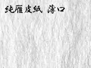 э玆iႸ񂪂тjNi炵j H 2 52×95cm
