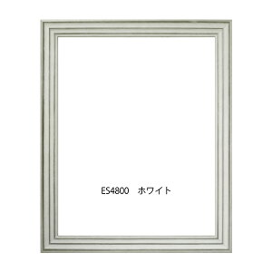 ؐfbTz ES4800 zCgFt[ (ANt) 