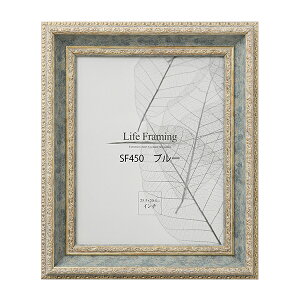 fbTz SF450 u[Ft[ (ANt) 