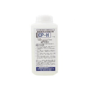 |pi^2t֍ CP-H 1L